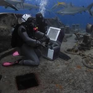 Meet your Posher, Sabie